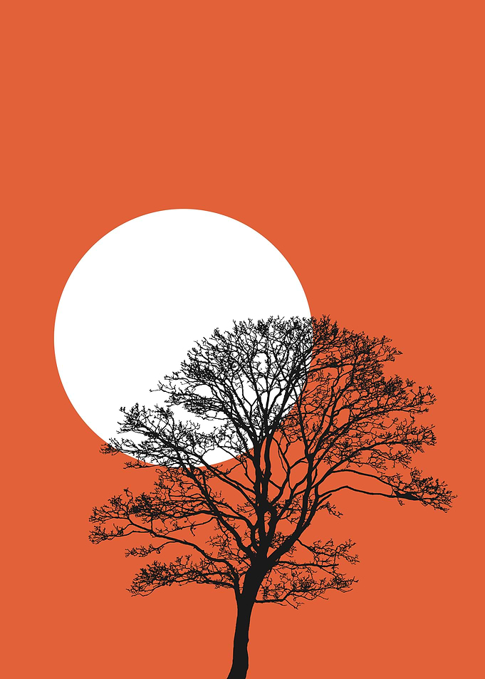 Sunset and the Tree