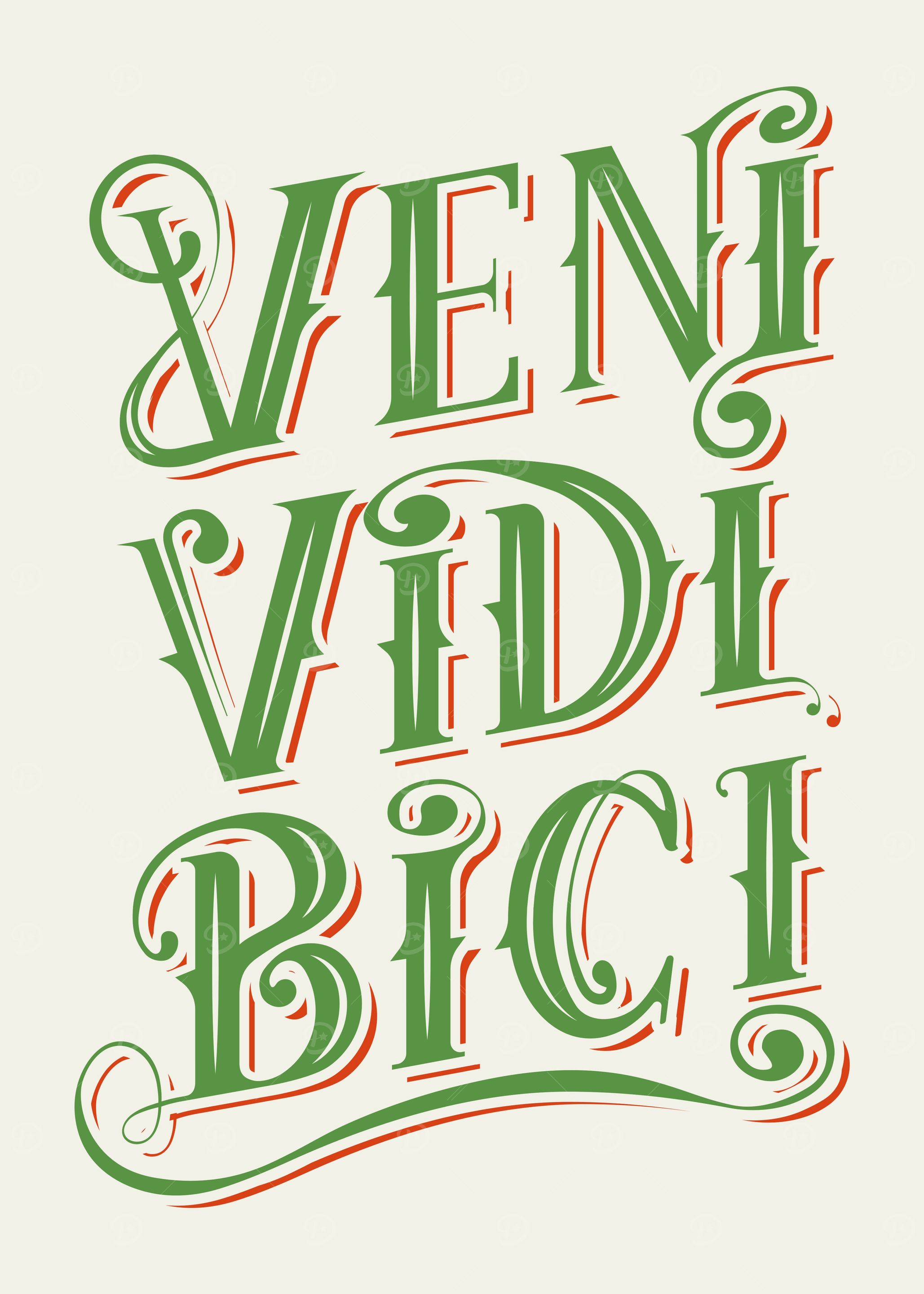 VENI VIDI BICI Ita