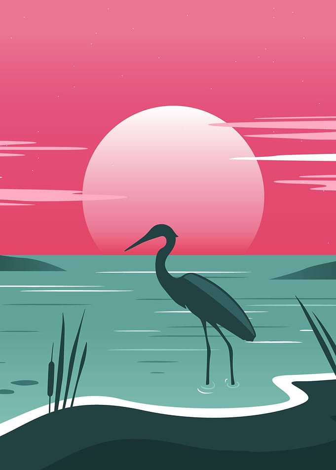 Silhouette Landscapes