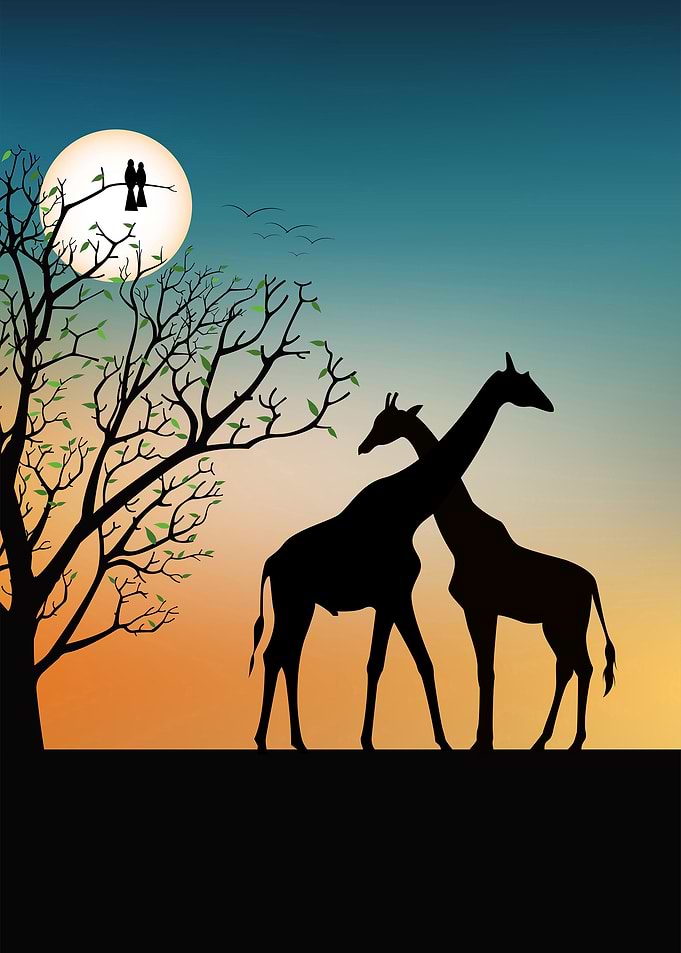 Silhouette Landscapes