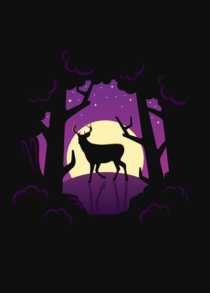 Silhouette Landscapes