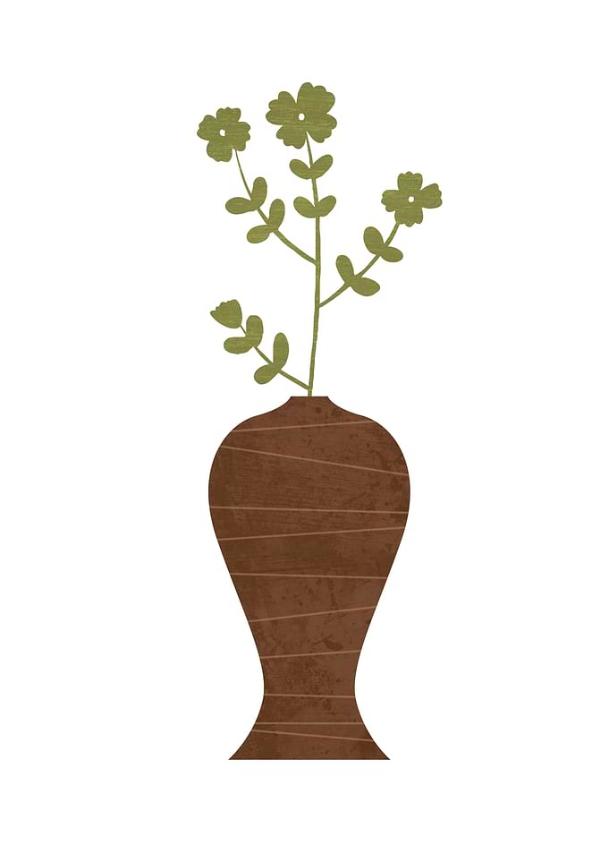 Flower and the Pot