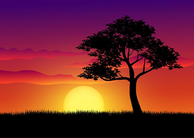 Silhouette Landscapes