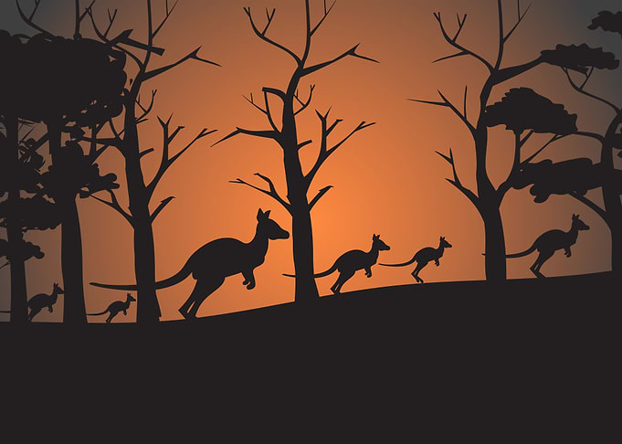 Silhouette Landscapes