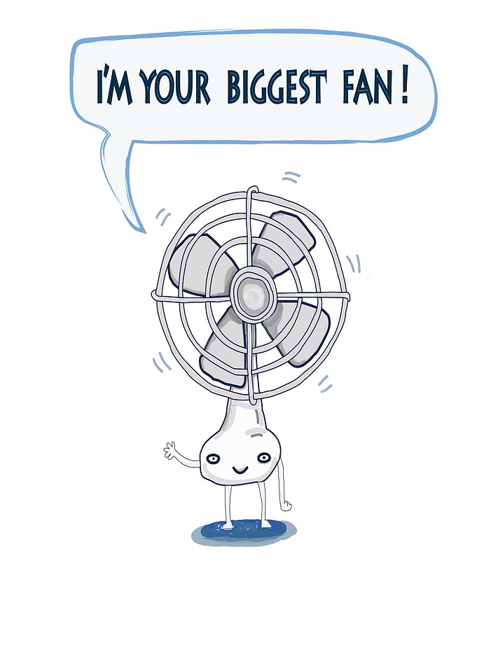 Biggest fan
