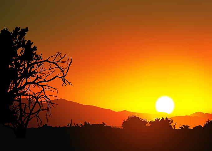 Silhouette Landscapes