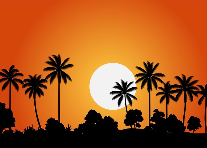 Silhouette Landscapes