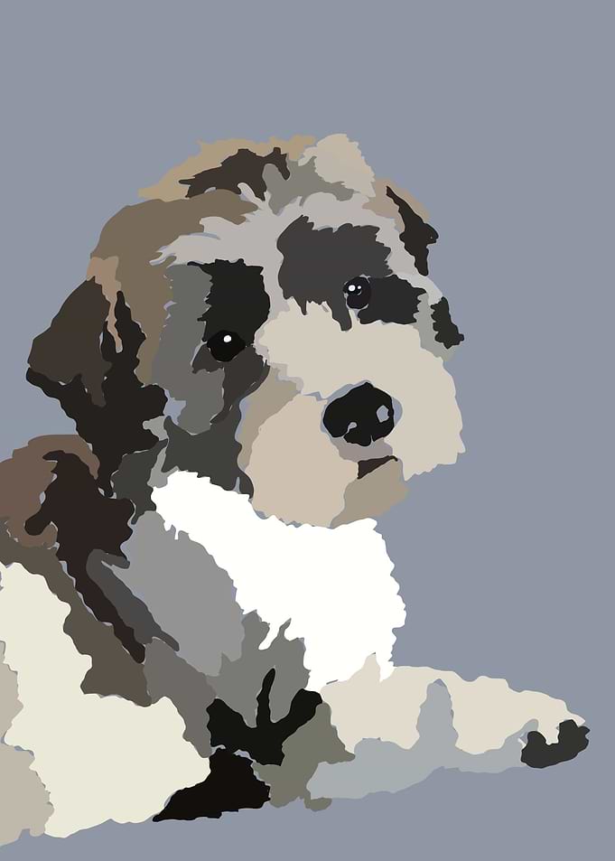 Dog Abstract Boomer