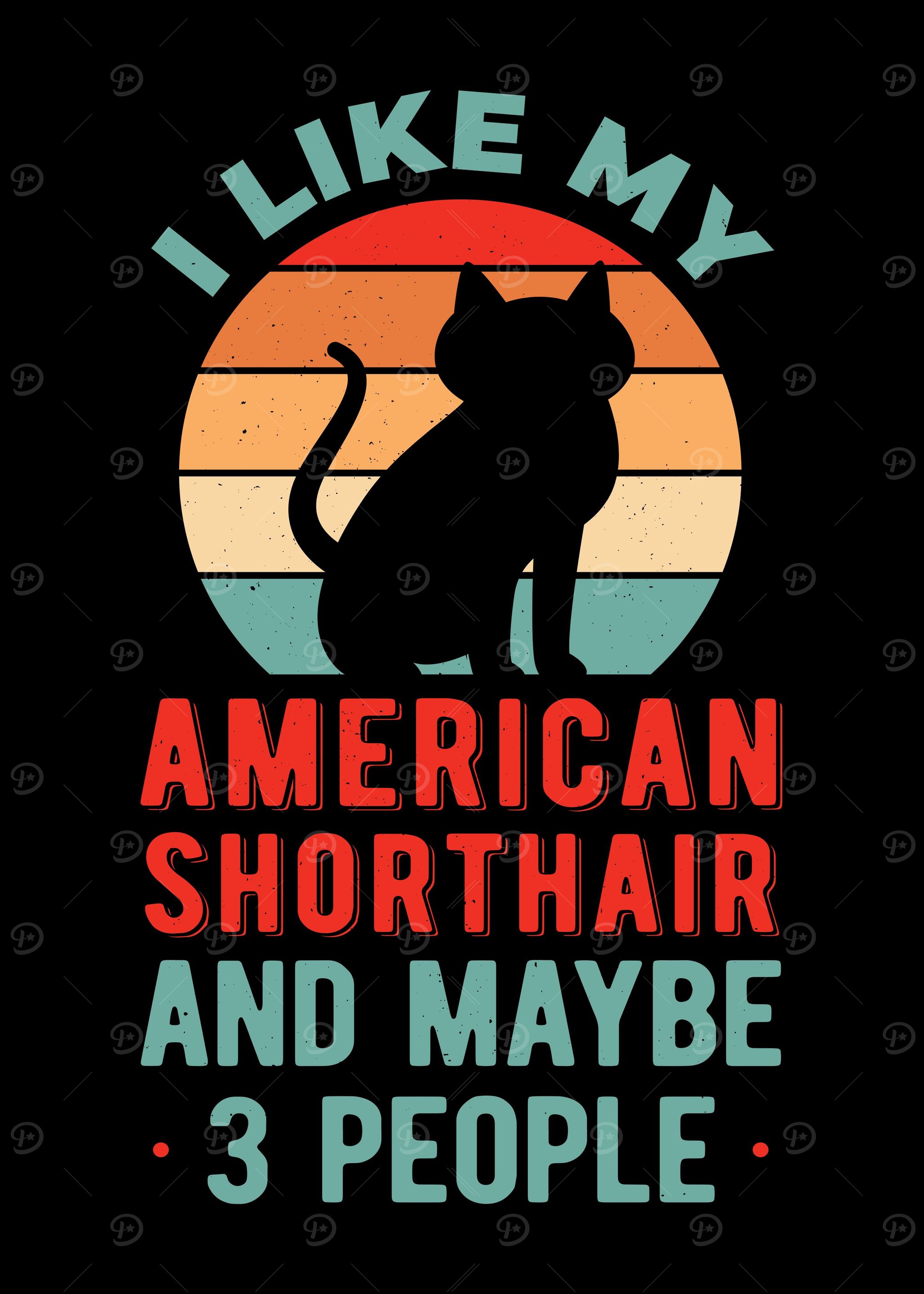 Funny American Shorthair