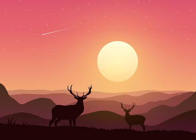 Silhouette Landscapes