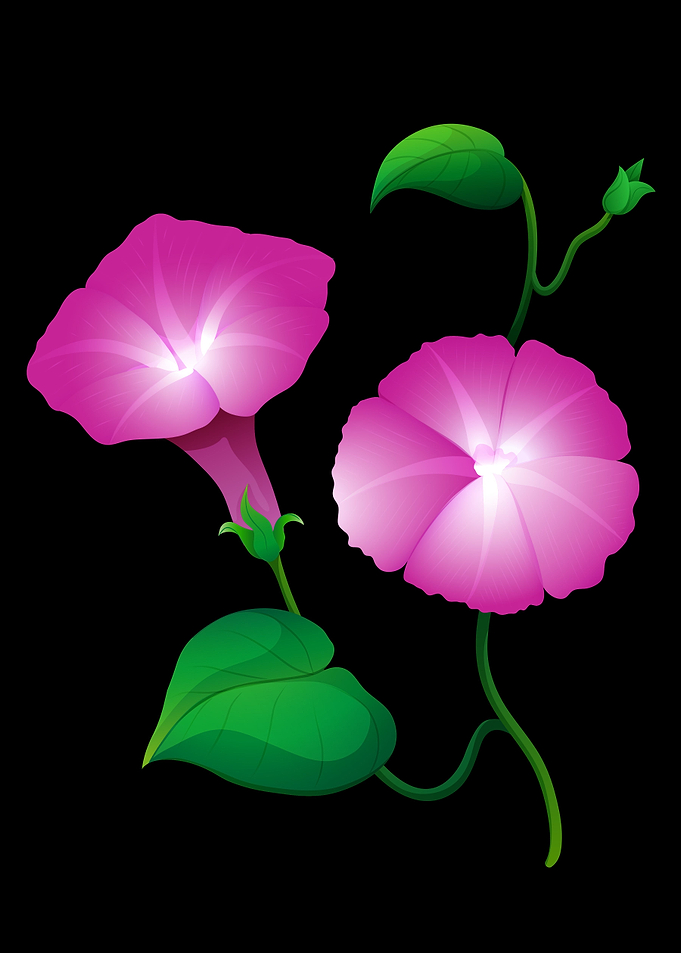 flower in pink