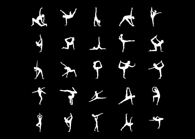 Yoga Joga Namaste Cat Dog