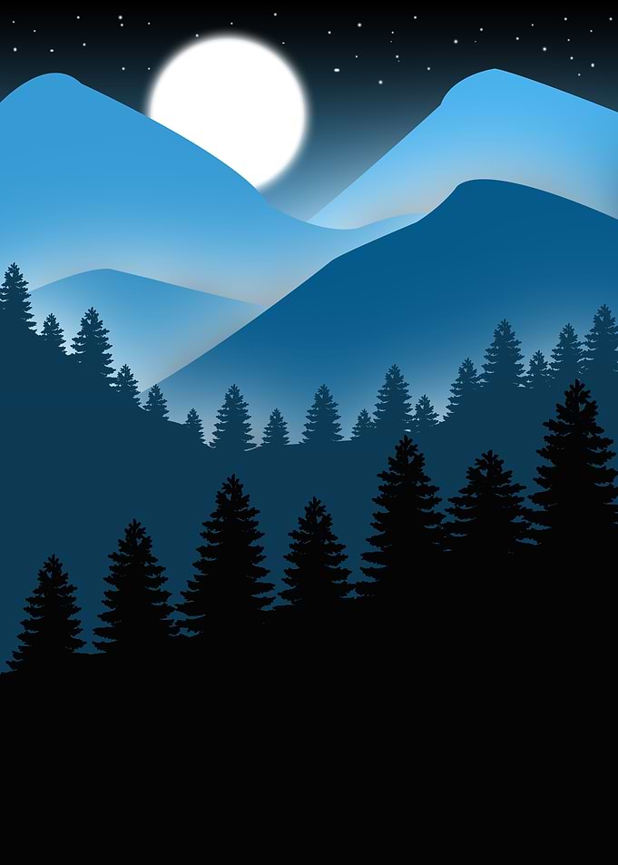 flat landscape night
