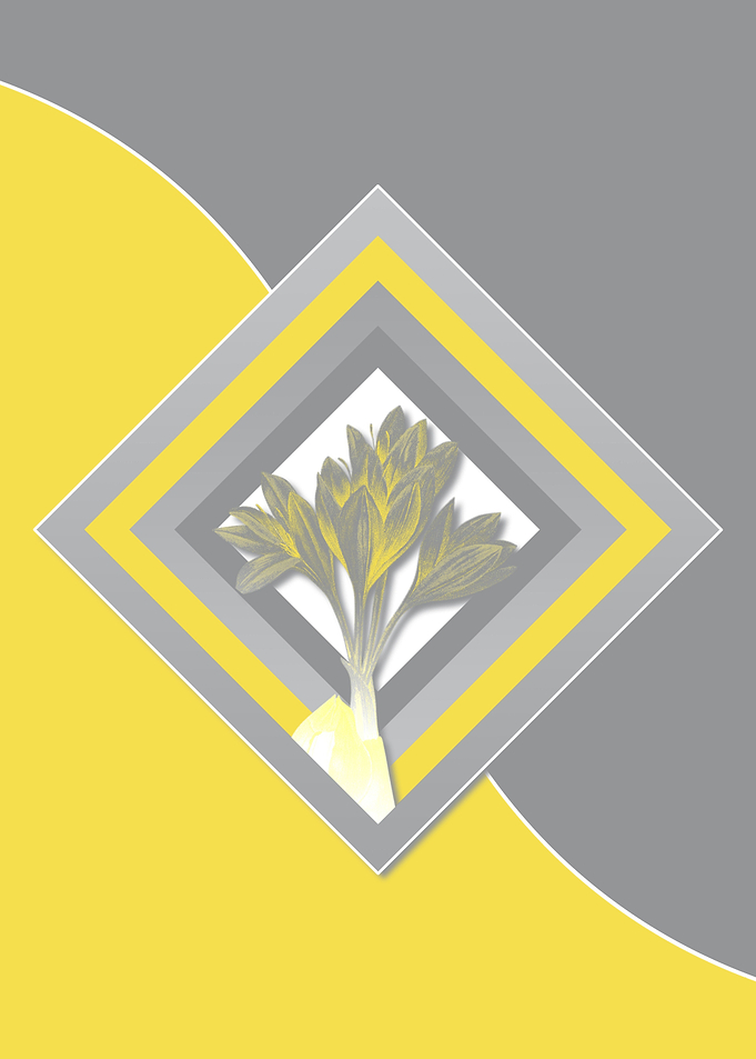 Grey and Yellow Crocus Art