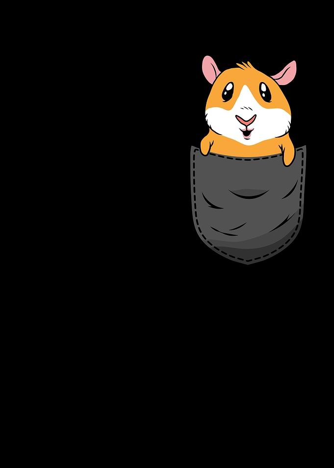 Hamster Pocket