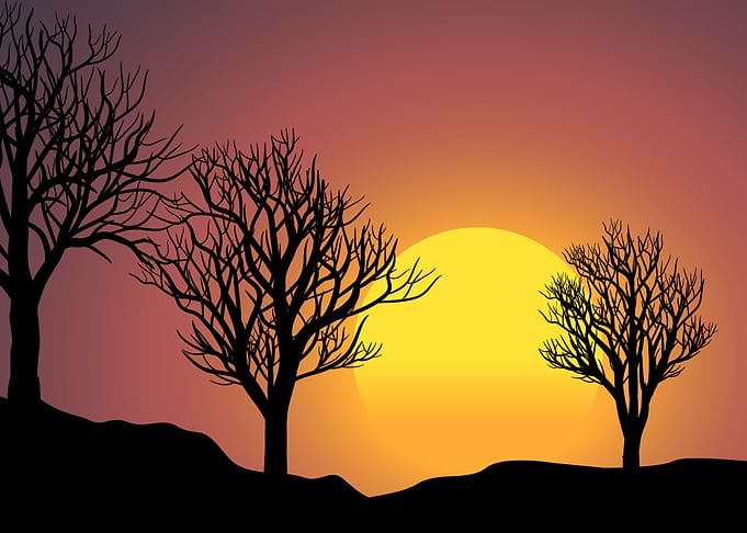 Silhouette Landscapes