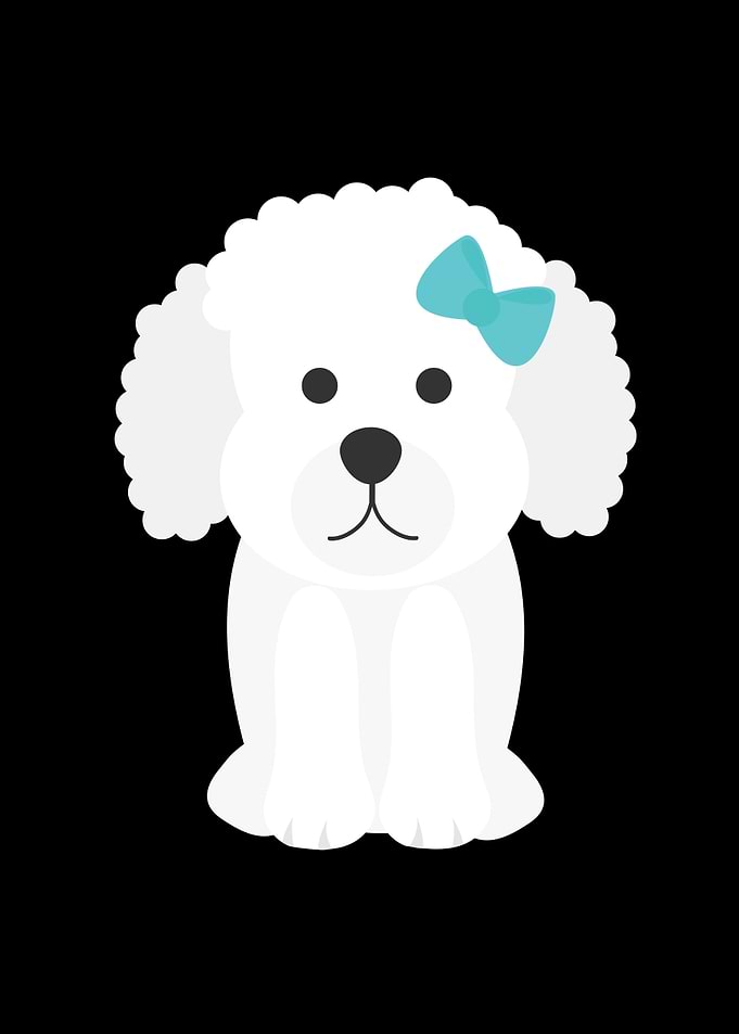 Cute puppy