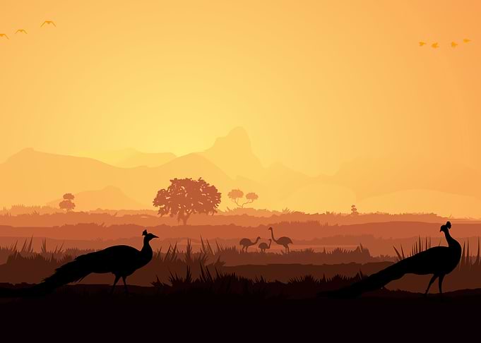Silhouette Landscapes