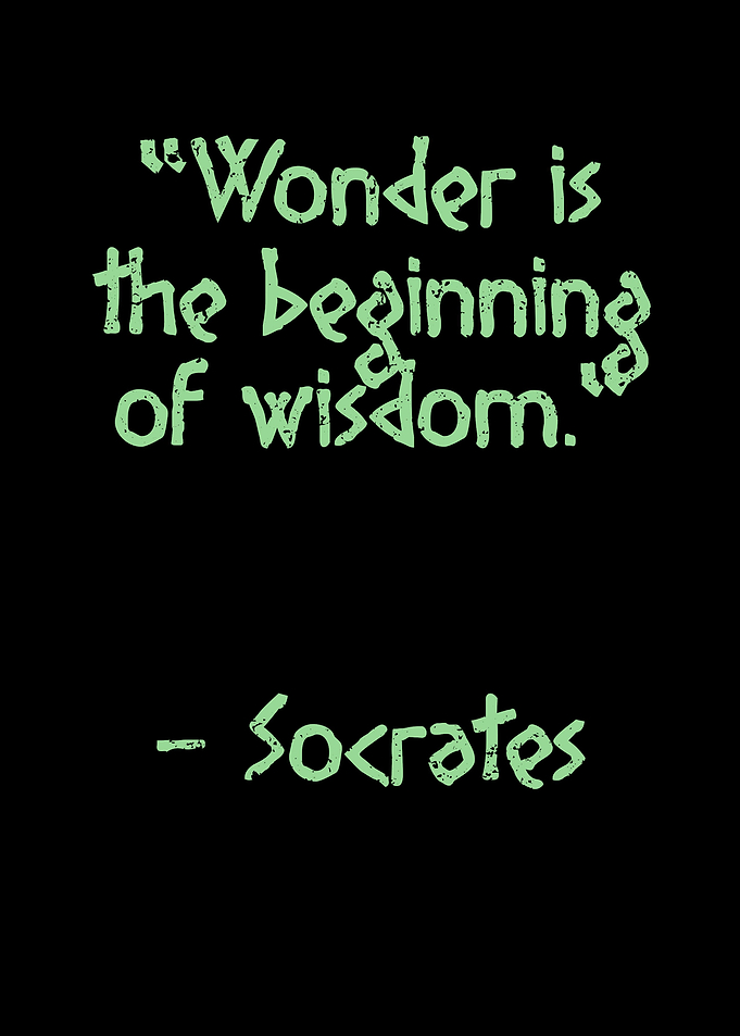 Wonder is the beginning of