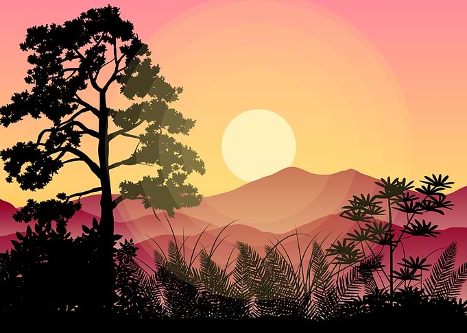 Silhouette Landscapes