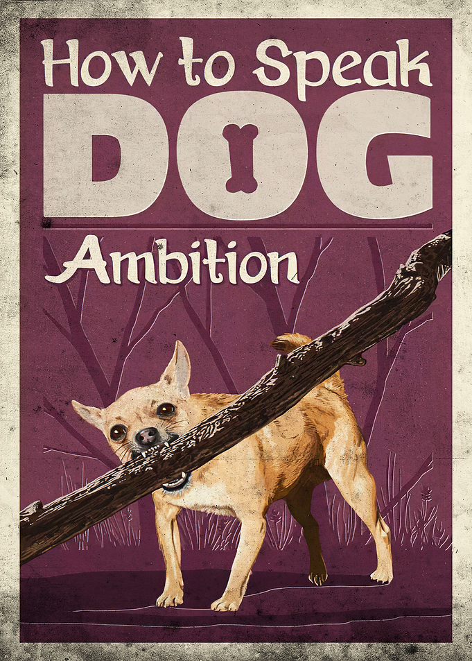 chihuahua dog ambiton meme