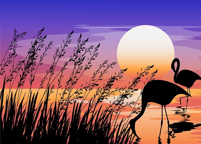Silhouette Landscapes