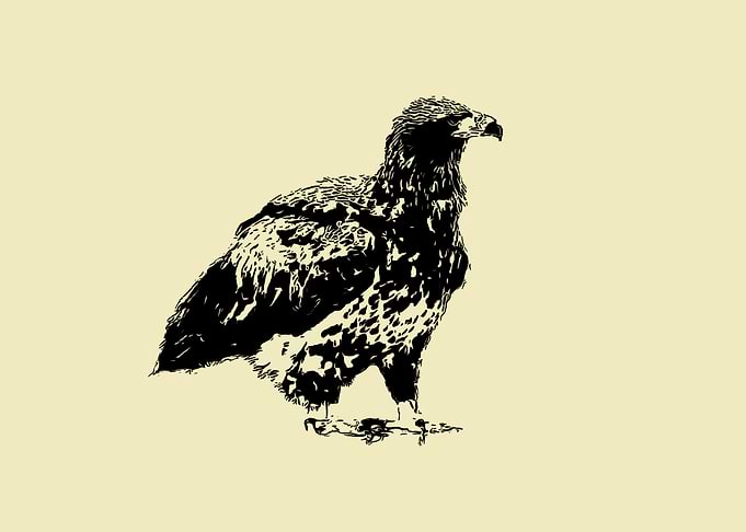 Eagle 2