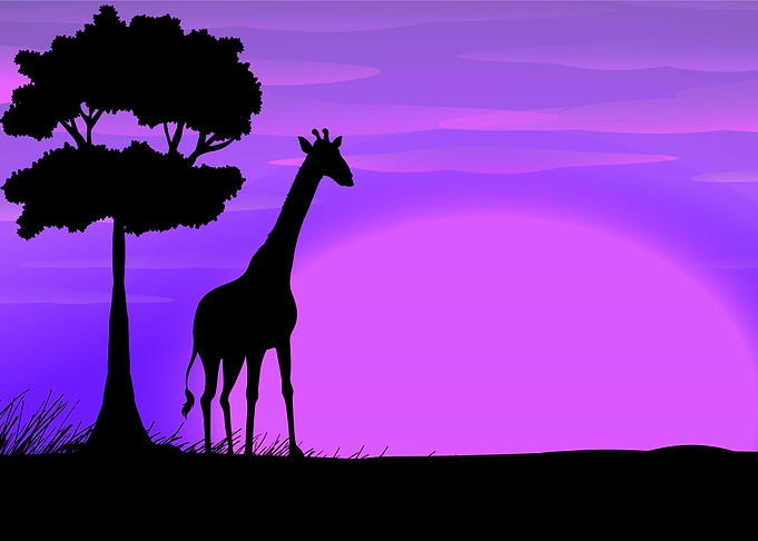 Silhouette Landscapes