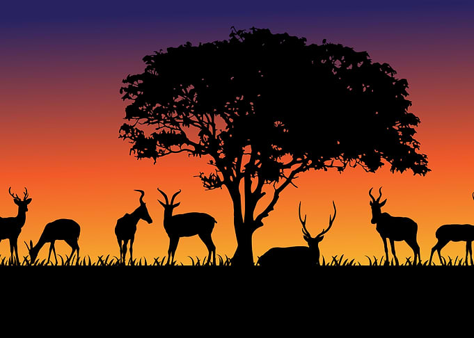 Silhouette Landscapes