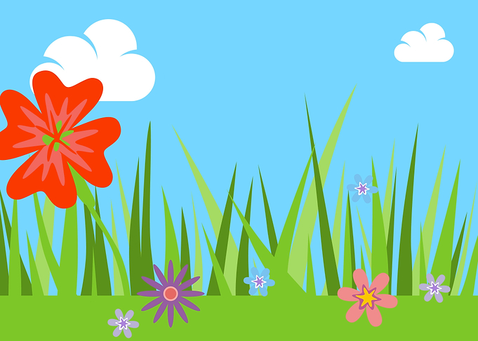 Grassland Flower