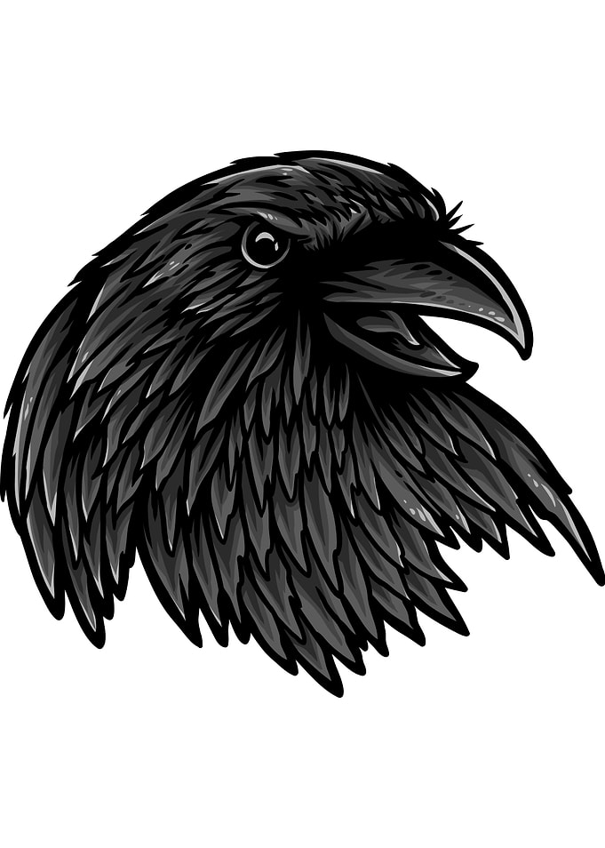 Rise of the Raven