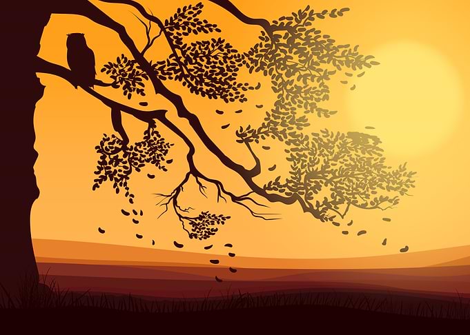 Silhouette Landscapes