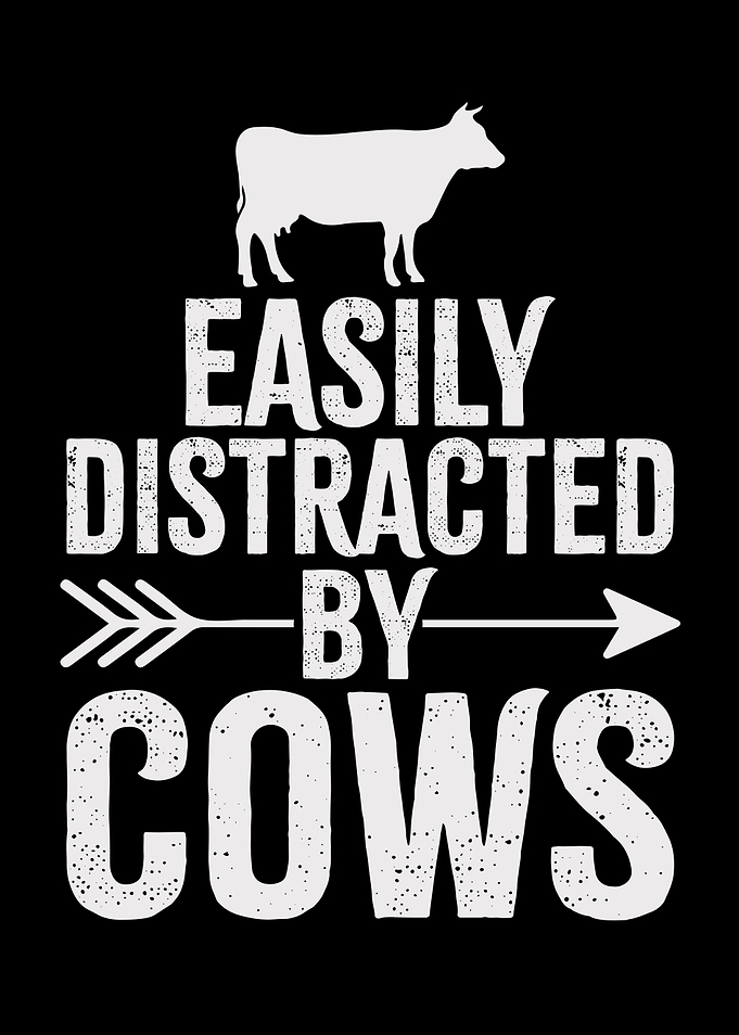 Easily Distracted By Cows