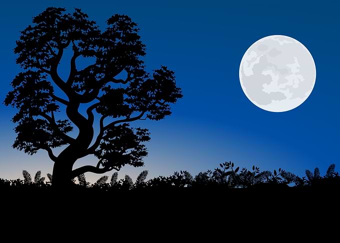 Silhouette Landscapes