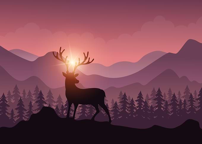 Silhouette Landscapes