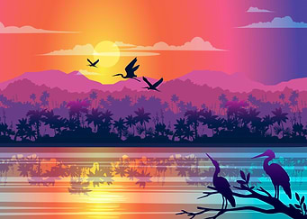 Silhouette Landscapes