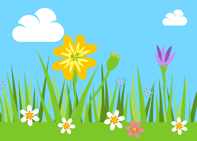 Flower in Spring