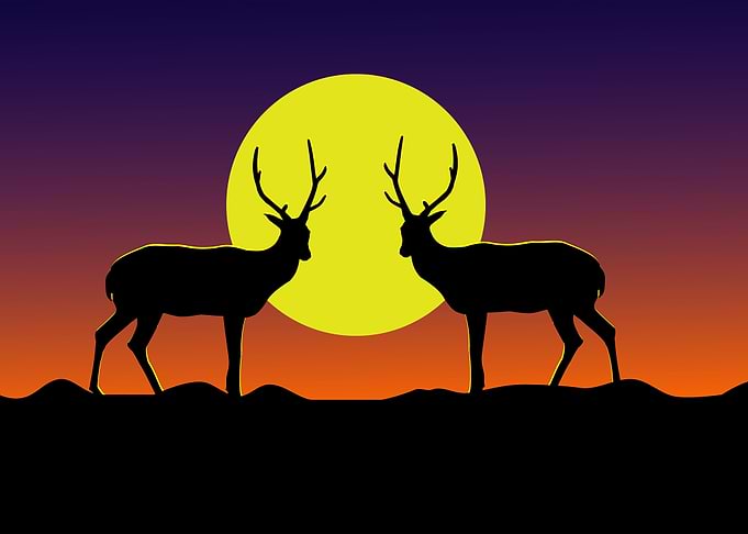 Silhouette Landscapes