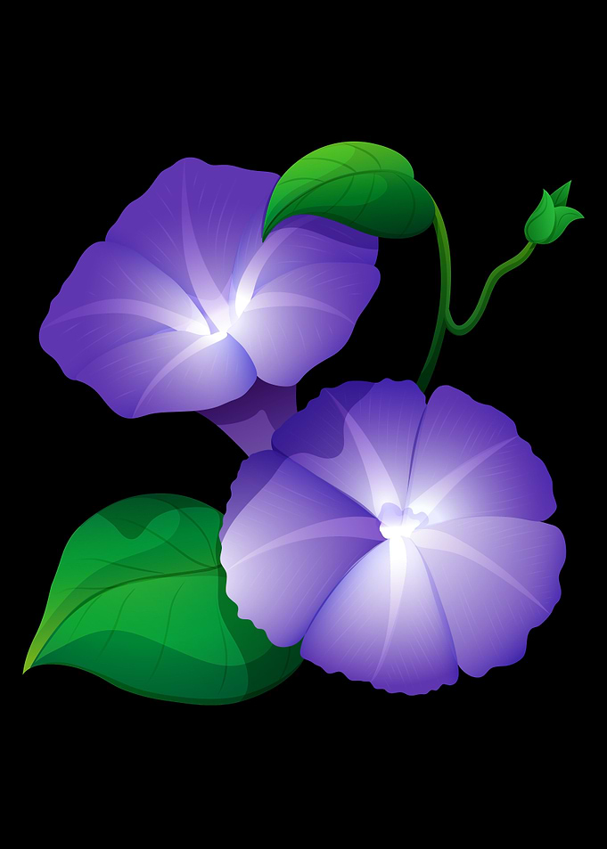 Flower in purple