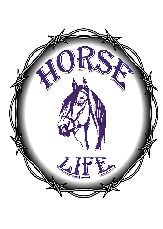 Horse life