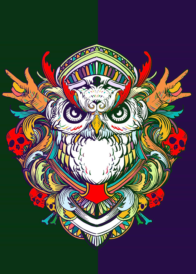 OWL BIRD