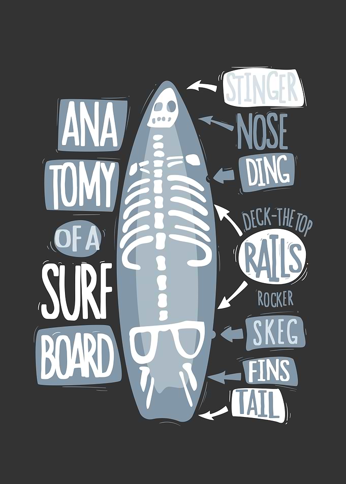 Anatomy of a Surfboard