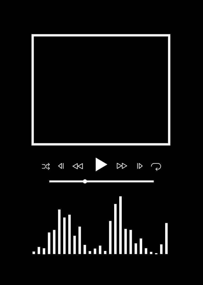 Music Playlist Musician