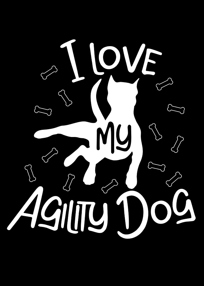 Agility Agility Dog