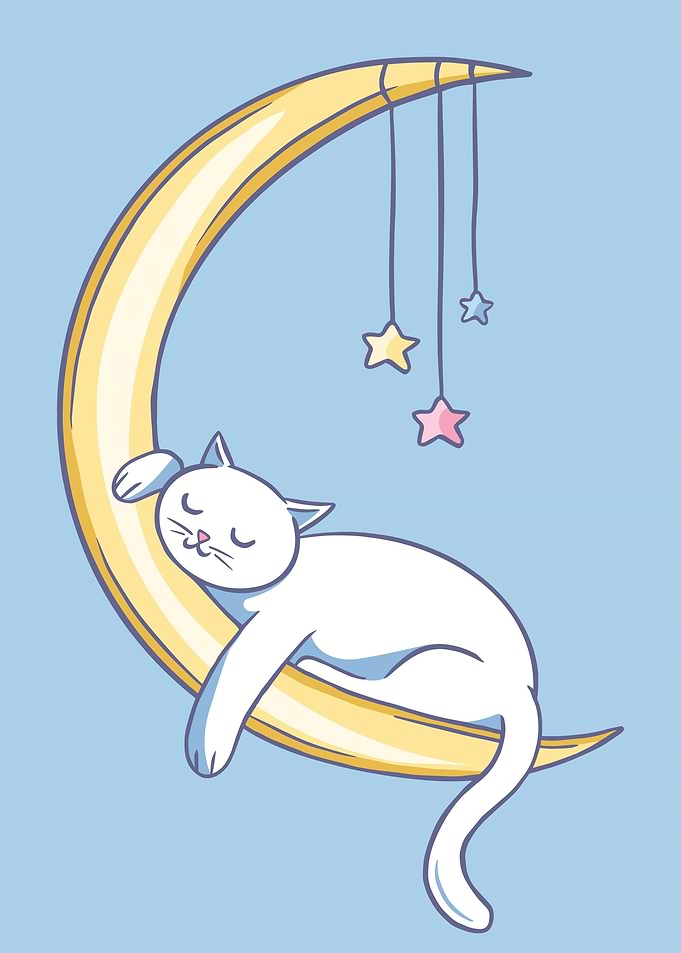 CAT SLEEPING
