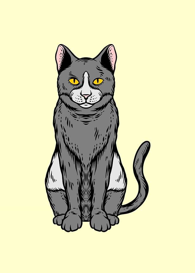 cat hand drawing