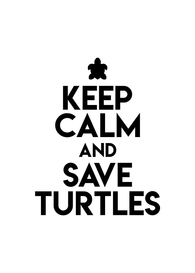 Keep Calm And Save Turtles