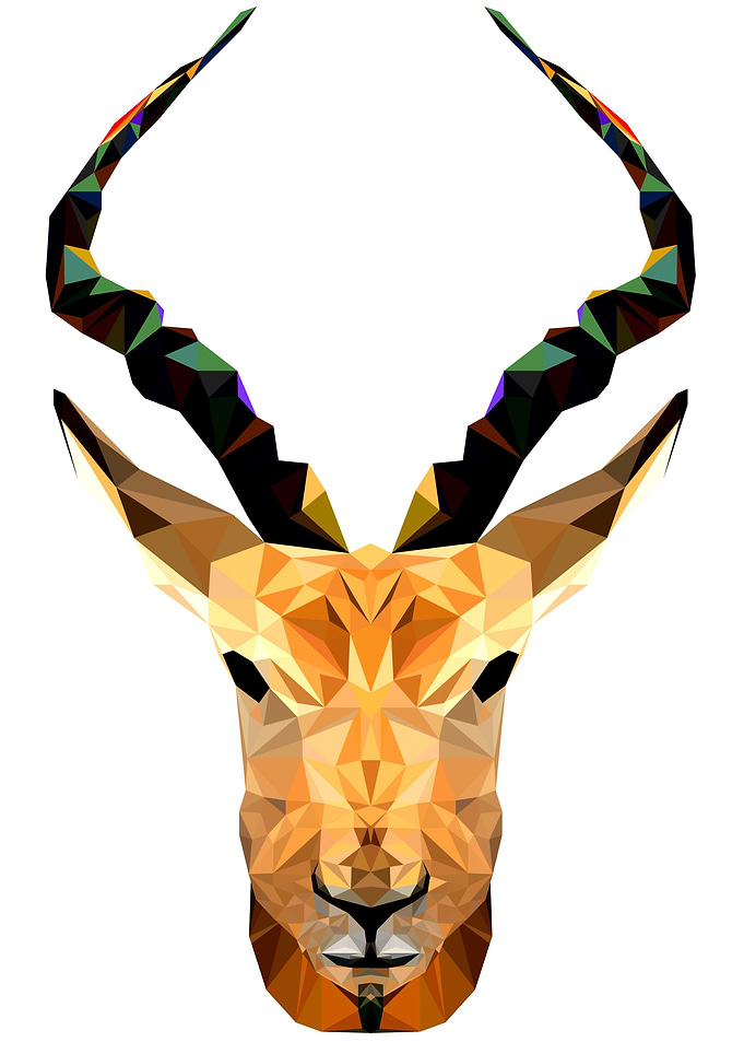 Animal Abstract