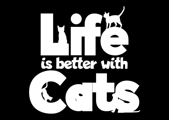 cute cats gift