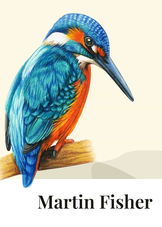 Martin Fisher Bird